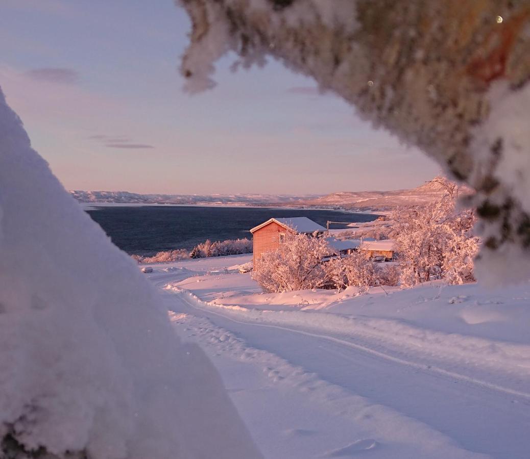 Nesseby Guesthouse Varangerbotn Bagian luar foto